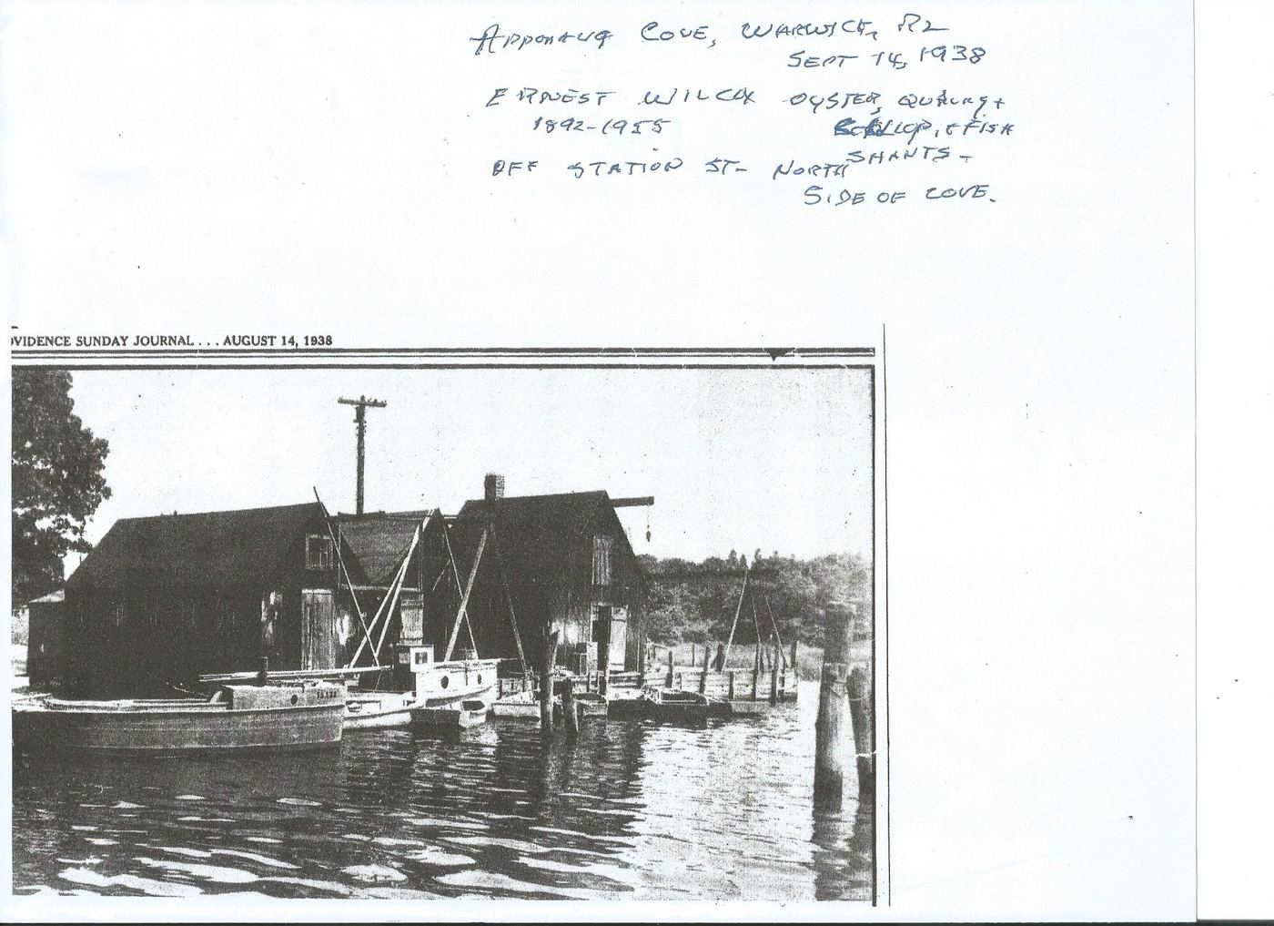 Providence Sunday Journal clipping, August 14 1938, with handwritten note about E. Wilcox's oyster and shellfish operation